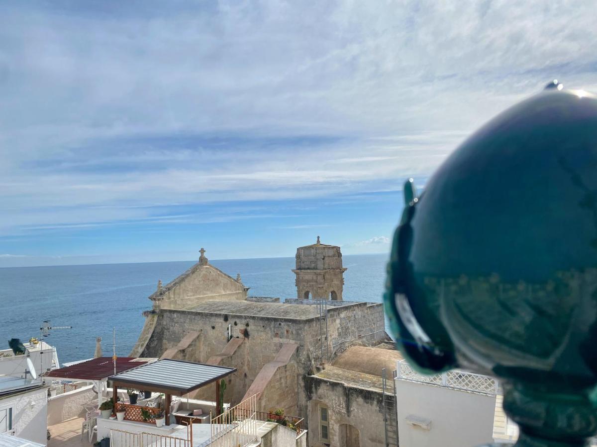 Terrazza Mediterranea - Puglia Mia Apartments 莫诺波利 外观 照片