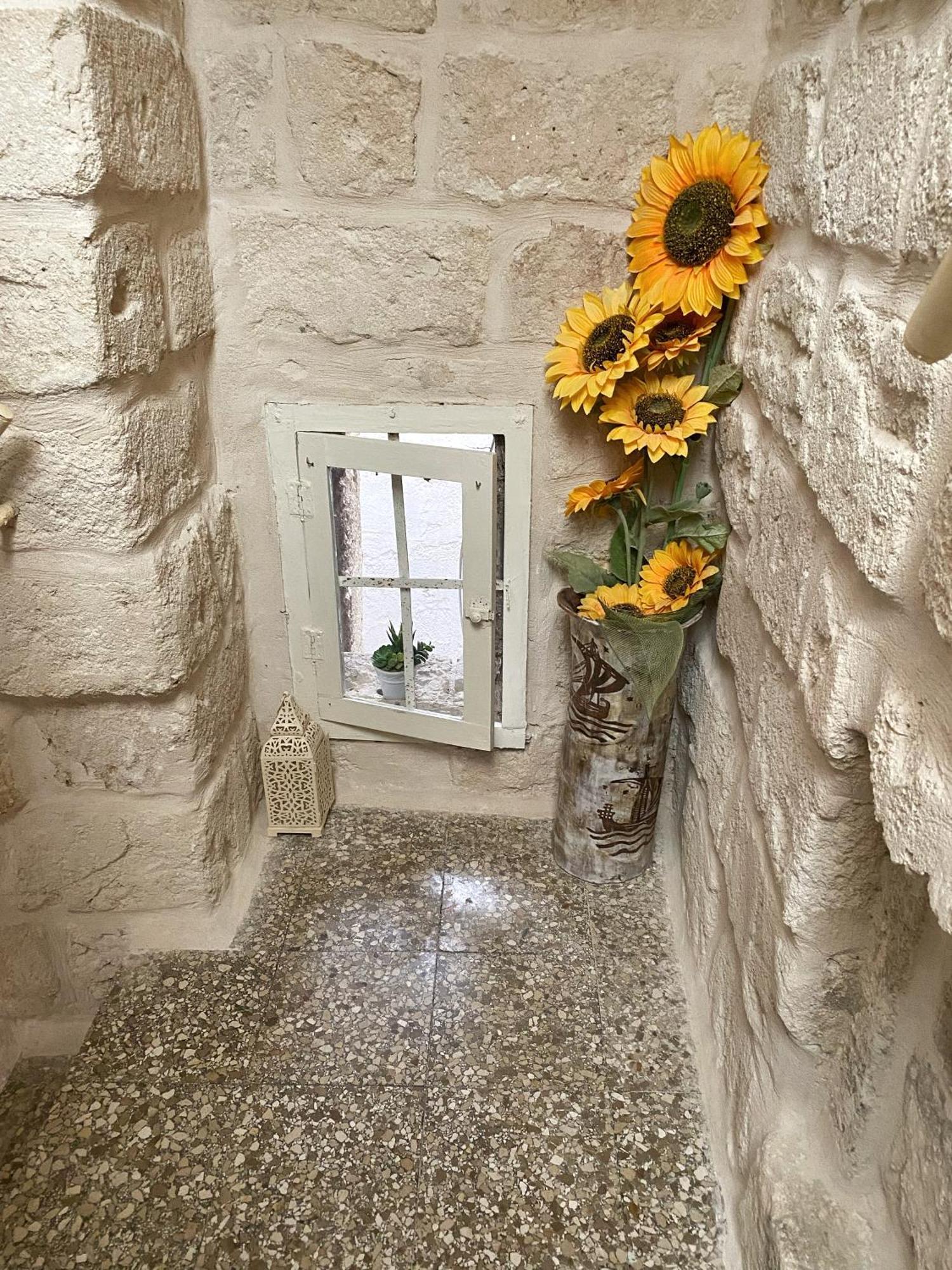 Terrazza Mediterranea - Puglia Mia Apartments 莫诺波利 外观 照片
